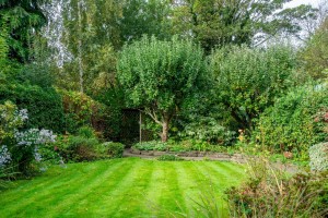 Images for Braeside Gardens, Holgate, York