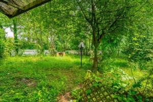 Images for Mount Vale, York