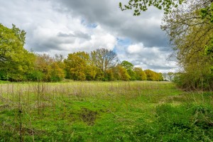 Images for Sandy Lane, Stockton On The Forest, York