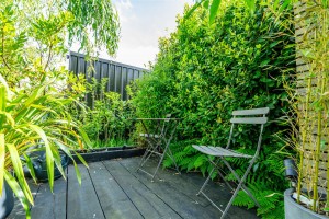 Images for Hempland Lane, York