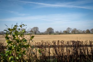 Images for Hagg Lane, Colton, Tadcaster
