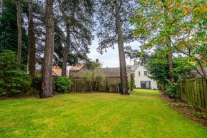 Images for Back Lane, Whixley, York