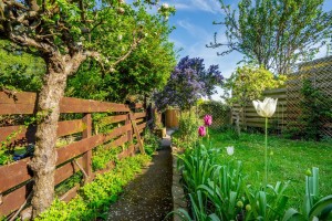 Images for Rosedale Avenue, York
