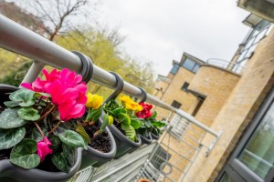 Images for Rome House, Eboracum Way, York