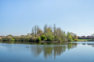 Images for Northolme Drive, Off Shipton Road, York