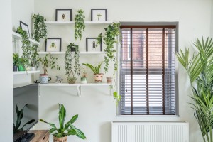 Images for Ambrose Street, Fulford, York