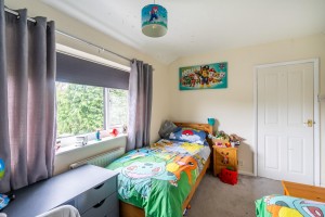 Images for The Reeves, York