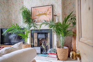 Images for Vyner Street, York