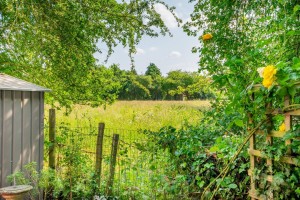 Images for Ebor Park, Appleton Roebuck, York