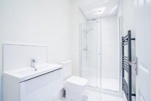 Images for Blossom Street, York