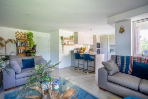 Images for Joseph Terry Grove, York