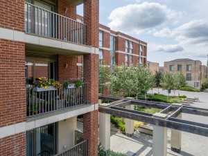Images for Joseph Terry Grove, York