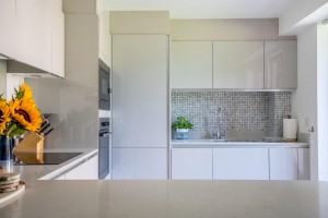 Images for Joseph Terry Grove, York