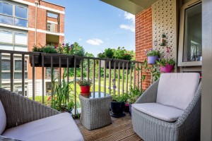 Images for Joseph Terry Grove, York
