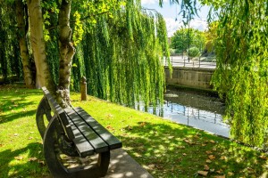 Images for Eboracum Way, York