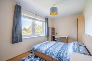 Images for Eboracum Way, York