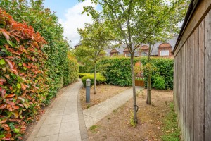 Images for Newborough Street, York