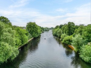 Images for Grange Street, York