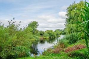 Images for The Poplars, Newton On Ouse, York