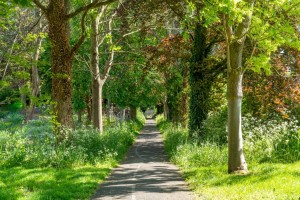 Images for Cocoa Gardens, Wigginton Road, York