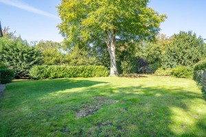 Images for Main Street, Escrick, York
