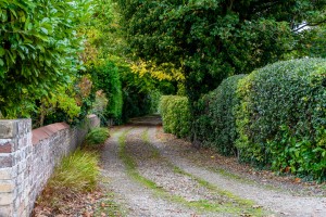 Images for Main Street, Wilberfoss, York
