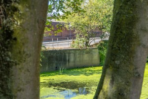 Images for Eboracum Way, York