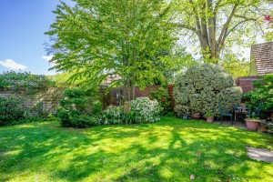 Images for St. Olaves Road, York