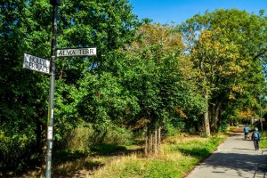 Images for Alma Terrace, York