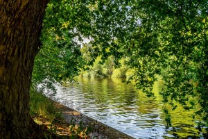 Images for Alma Terrace, York