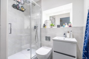 Images for Joseph Terry Grove, York