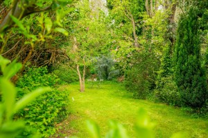 Images for Huntington Road, York