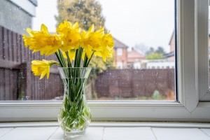 Images for The Limes, Stockton On The Forest, York