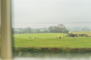 Images for Village Farm, Foston, York