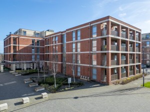 Images for Joseph Terry Grove, York