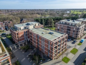 Images for Joseph Terry Grove, York