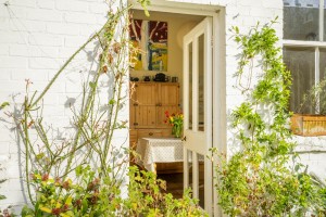 Images for Bootham Crescent, York
