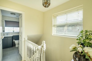 Images for Goodwood Grove, York