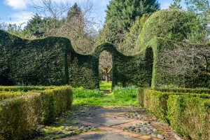 Images for Heslington Lane, York