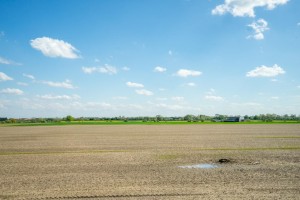 Images for Sycamore Close, Skelton, York