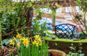 Images for Ogleforth, York