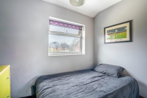 Images for The Reeves, York