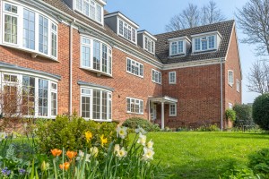 Images for Alma Terrace, York