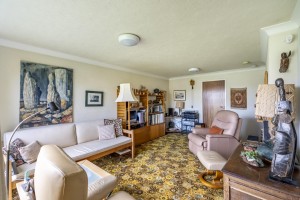 Images for The Paddock, York