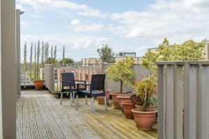 Images for Medallion House, Joseph Terry Grove, York