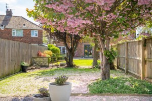 Images for Melrosegate, York