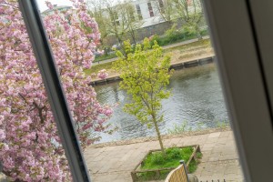 Images for Earlsborough Terrace, York