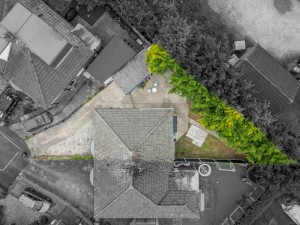 Images for Beech Glade, York