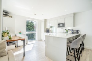 Images for Joseph Terry Grove, York