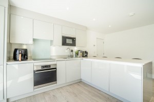 Images for Joseph Terry Grove, York
